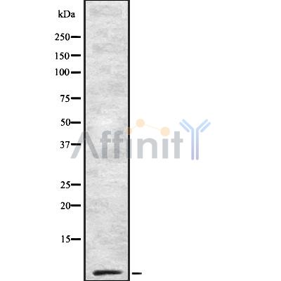 Валидация Affinity DF8937 - 21090