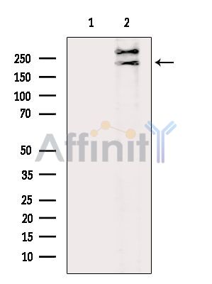 Валидация Affinity DF14238 - 10087