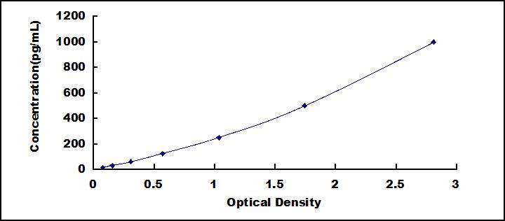 34203