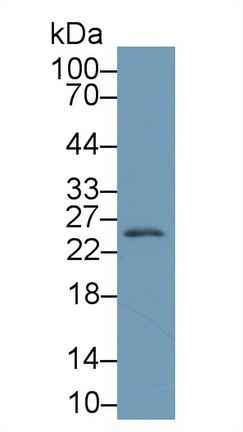 13122