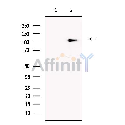 Валидация Affinity DF13579 - 9049