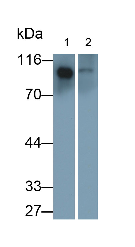 30948