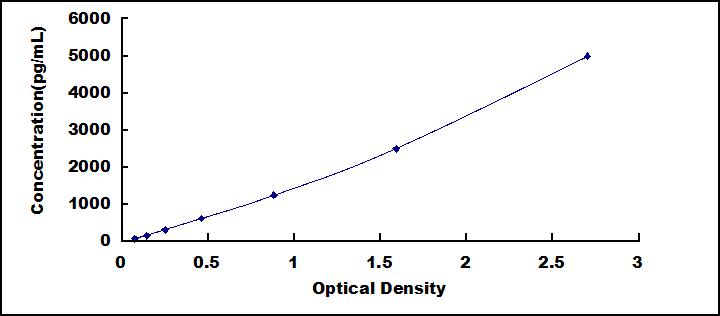 62027