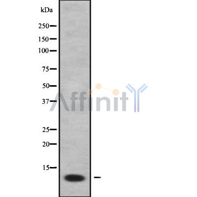 Валидация Affinity DF9941 - 22942