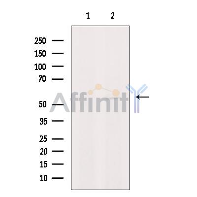 Валидация Affinity DF9742 - 22552
