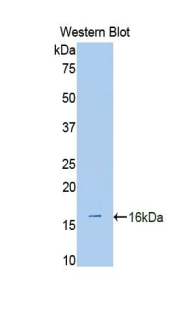 48804