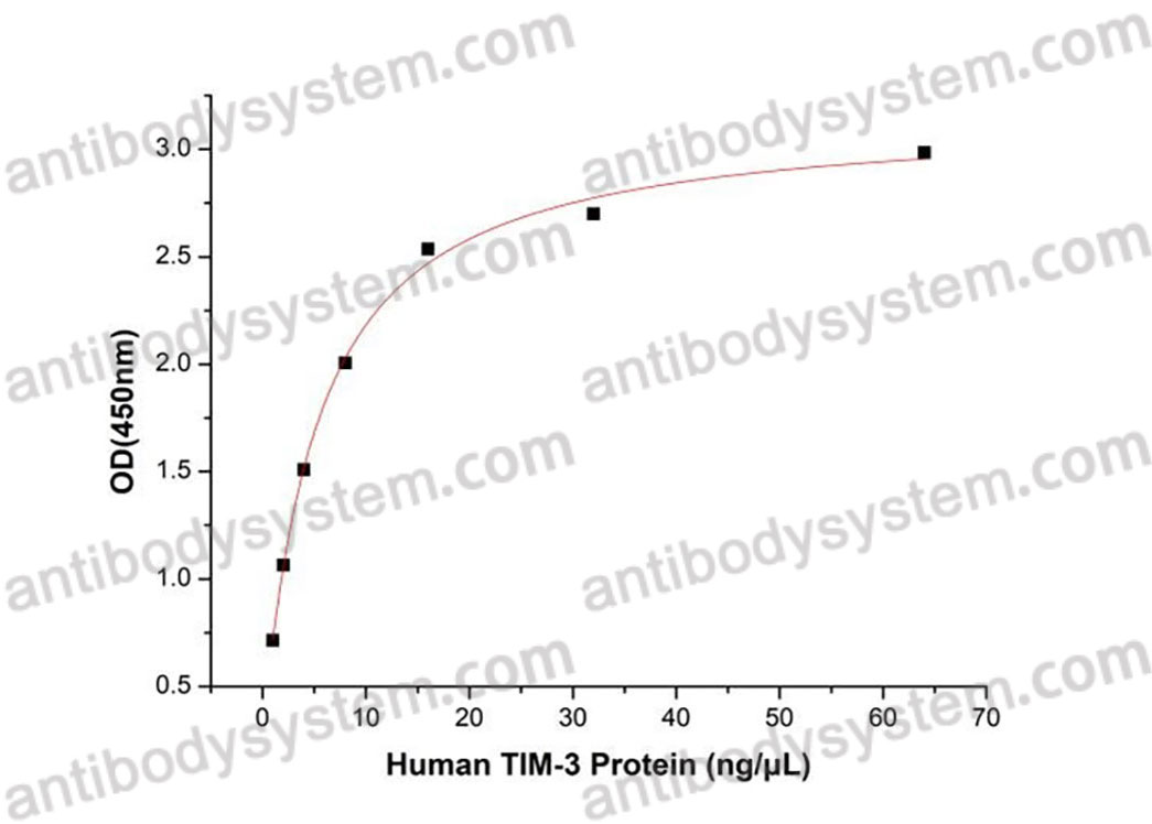 Валидация активности AntibodySystem AHJ28401
