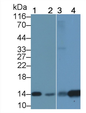 1339