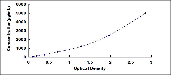 65126