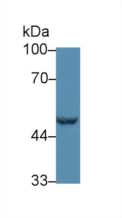 12838