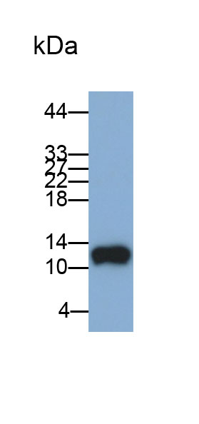 31439