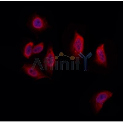 Валидация Affinity DF12494 - 7070