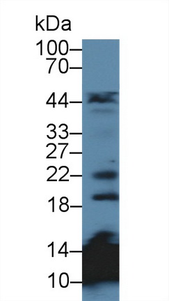 13893
