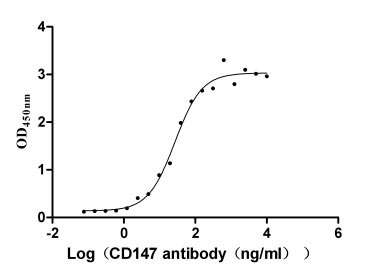Функциональный ИФА: связывание рекомбинантного антитела к CD147