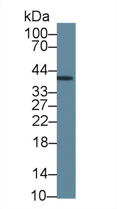 10519