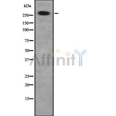 Валидация Affinity DF8312 - 20165
