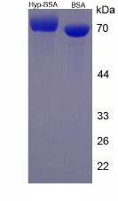 50920