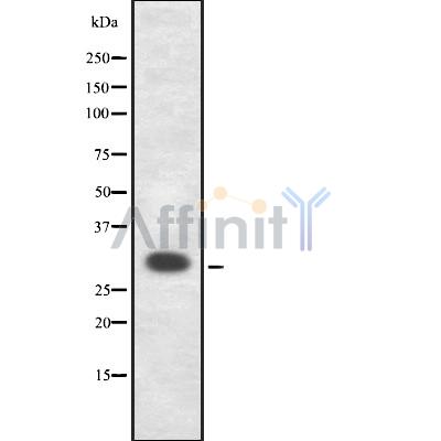 Валидация Affinity DF8654 - 20616