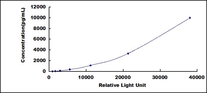 65051