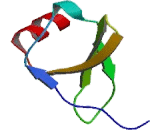 B-Lymphocyte Chemoattractant 1 (BLC1)