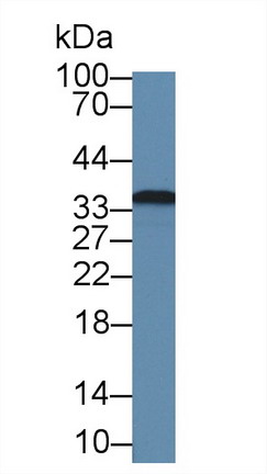 8734