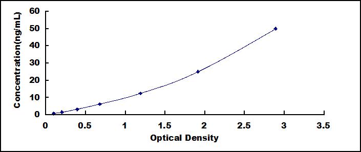 63802