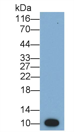 40140