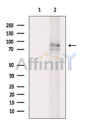 Валидация Affinity DF16120 - 12707