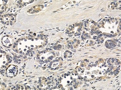 Валидация Affinity DF16098 - 12671