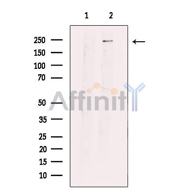 Валидация Affinity DF12306 - 6685