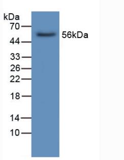 5403