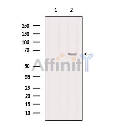 Валидация Affinity DF6222 - 17502