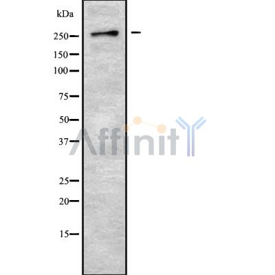 Валидация Affinity DF10219 - 5788
