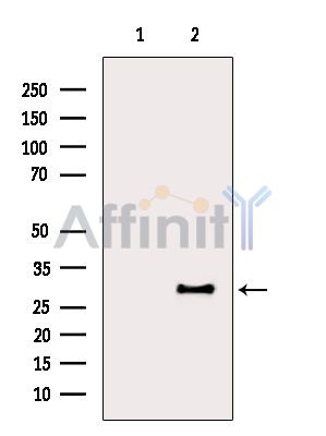 Валидация Affinity DF7630 - 19404