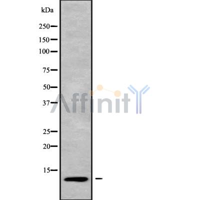 Валидация Affinity DF9122 - 21437