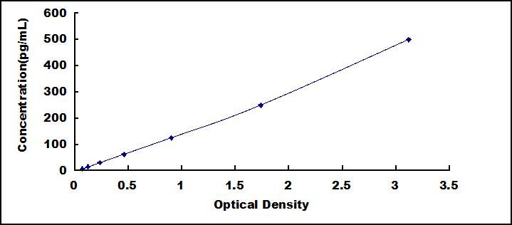 61131
