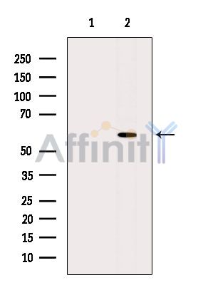 Валидация Affinity DF10136 - 5654