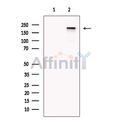 Валидация Affinity DF13413 - 8702
