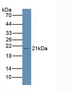 6225