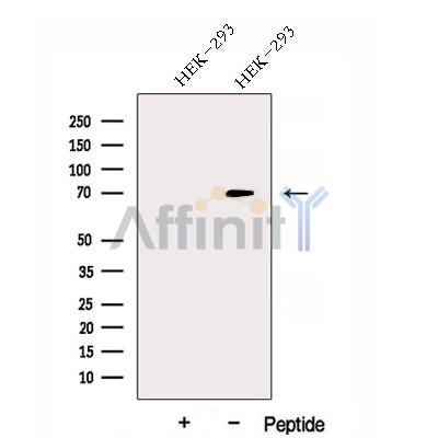 Валидация Affinity DF12950 - 7714