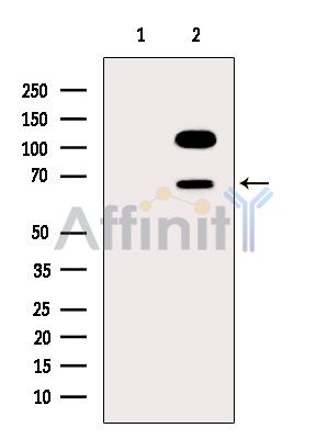 Валидация Affinity DF4484 - 16021