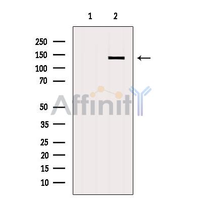 Валидация Affinity AF6130 - 3350