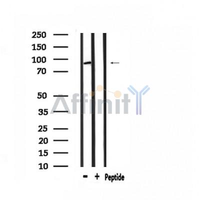Валидация Affinity DF3398 - 14292