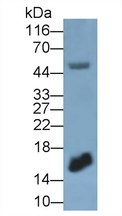 6211