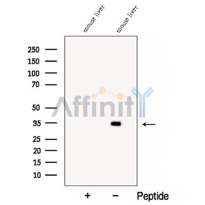Валидация Affinity DF12909 - 7659