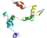 Zinc Finger Protein 286 (ZNF286)