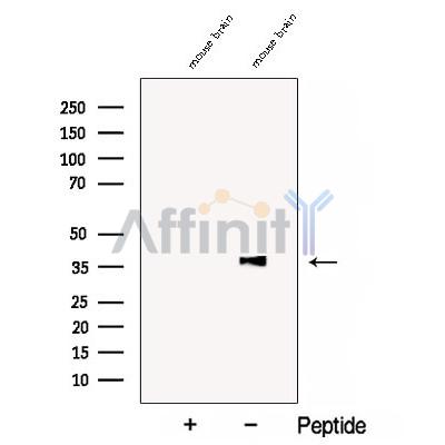Валидация Affinity DF12910 - 7660