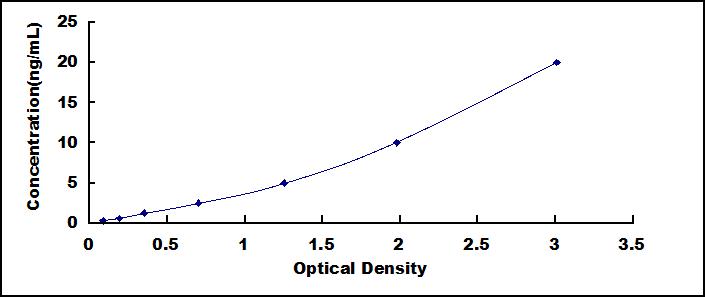 50292