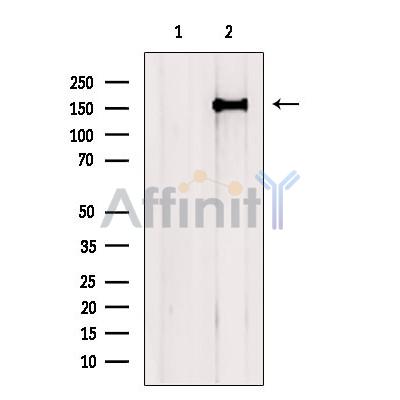 Валидация Affinity DF9032 - 21267