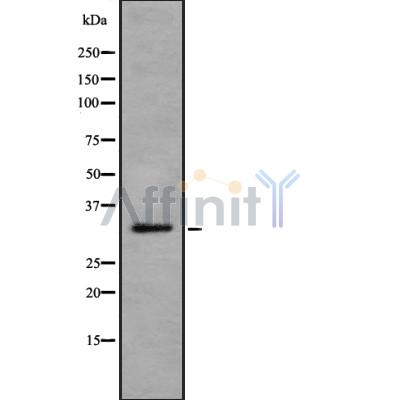 Валидация Affinity DF8444 - 20323